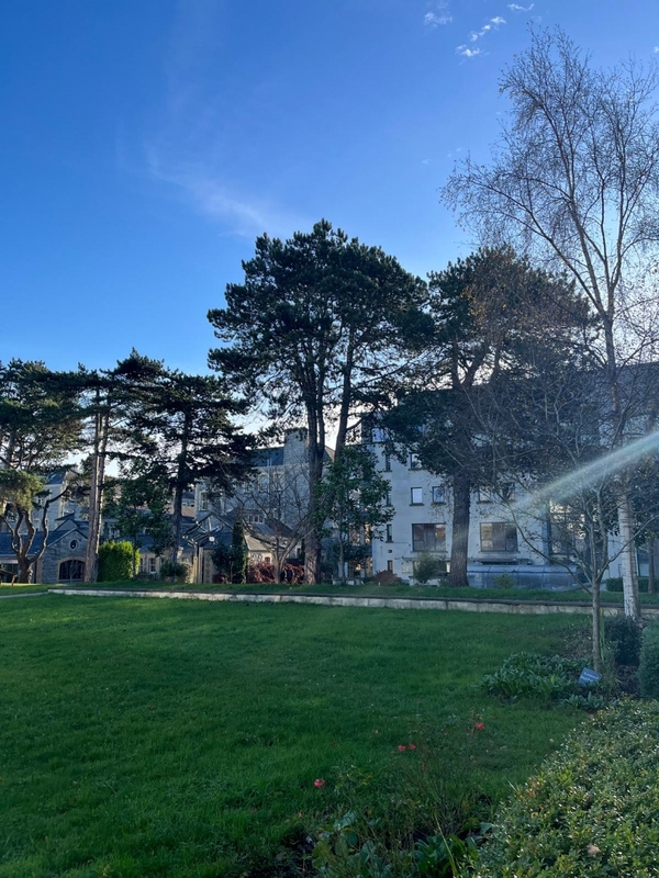 MARINO INSTITUTE OF EDUCATION  - DUBLINO -  MARINO ISTITUTE OF EDUCATION